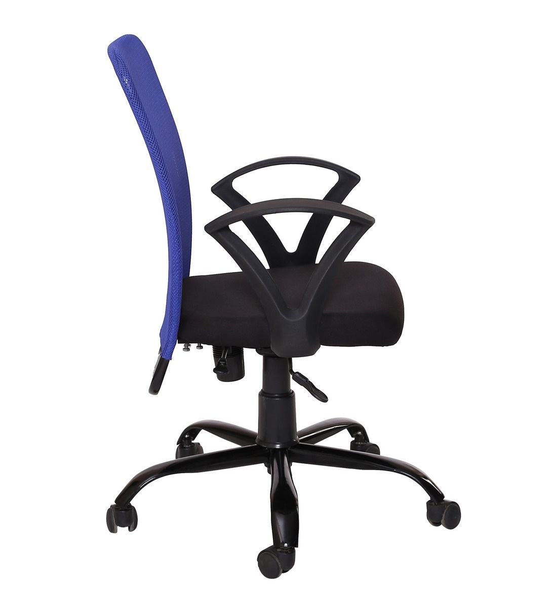 Zeel - Medium Back Ergonomic Chair for Work from Home & Office - Blue & Black