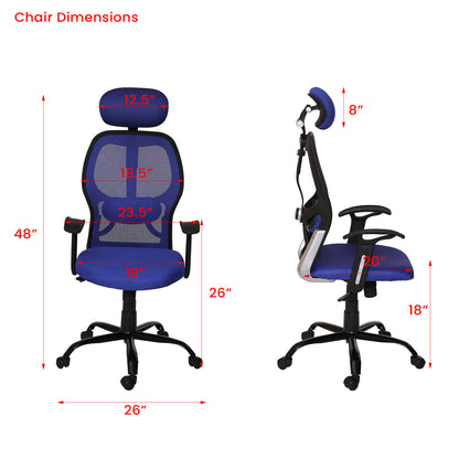 Schuller High Back Ergonomic Chair For Work From Home & Office - Blue