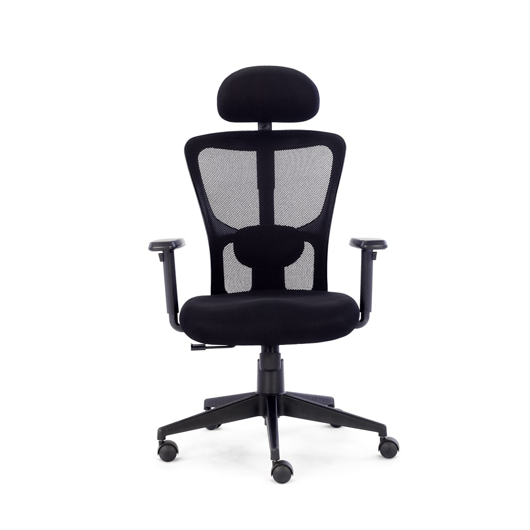 Zent Office Ergonomic Chair for Work from Home & Office - Black