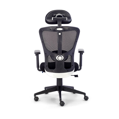 Zent Office Ergonomic Chair for Work from Home & Office - Black